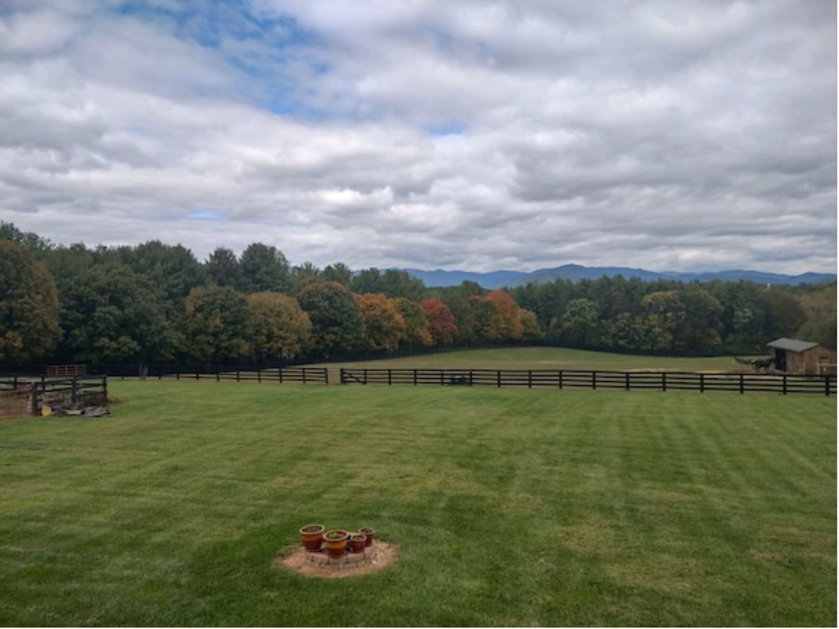 Hal Johnson personal picture